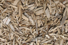biomass boilers Calderwood